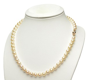 Naszyjnik ze złocistymi perłami Akoya 7-7,5 mm (wzór CSNP-BCYG)