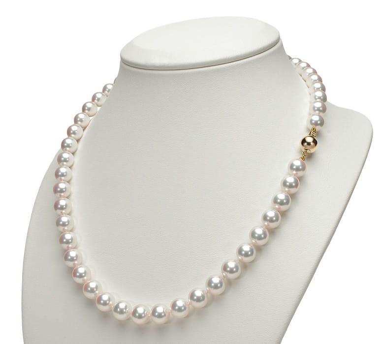 19d50fcaba07b14c2db98fa9ebefef93