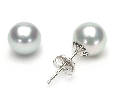 Kolczyki złote ze srebrnymi perłami Akoya 7,5-8 mm (wzór CSES)