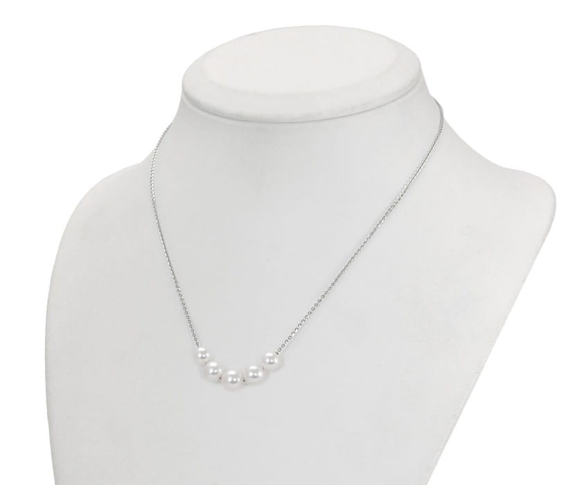 0f8384b0d76544abfc25ec9e2f01fe81