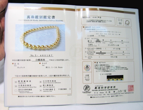 Certyfikat PSL dla pereł South Sea
