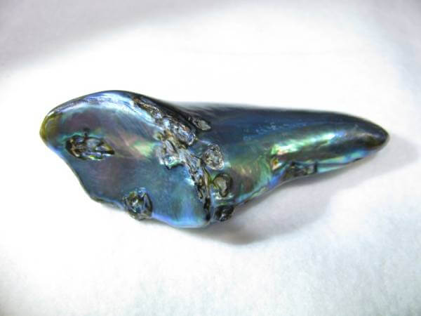 Naturalna perła Abalone