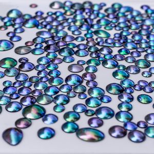 Abalone - perły uchowców